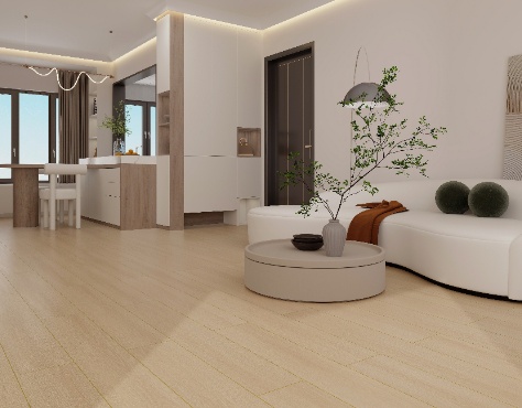 PS1101岩木1号2_resized_docsmall.com