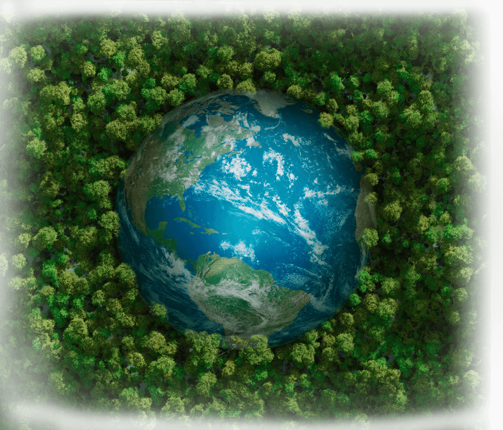 img2554A8A1A81F73C41CDA063ED68FD8F099D