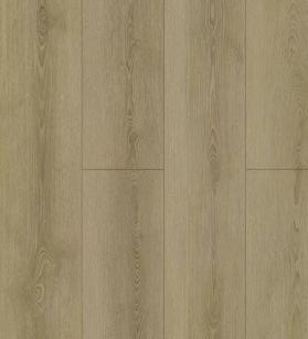 图片145BBA41C61B84437BA0146926D19203E